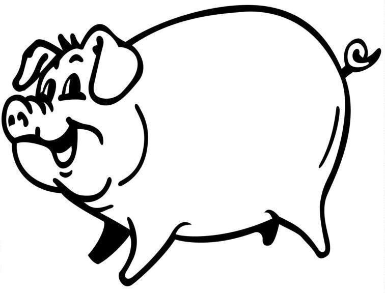 Cerdo #2599