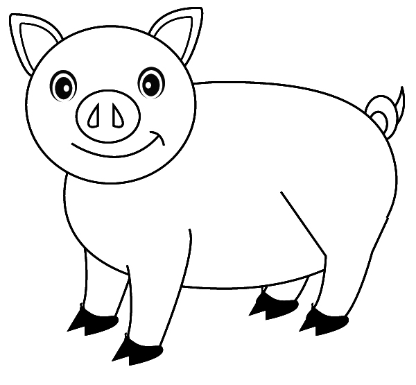 Cerdo #2606