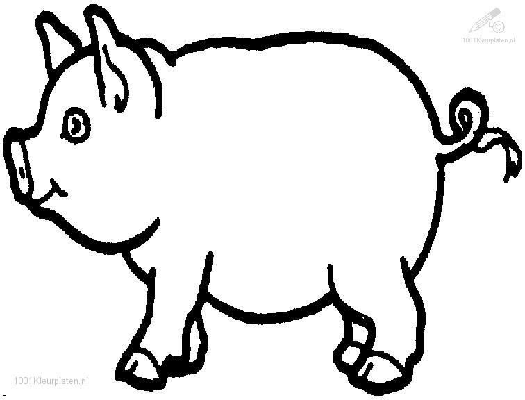 Cerdo #2610