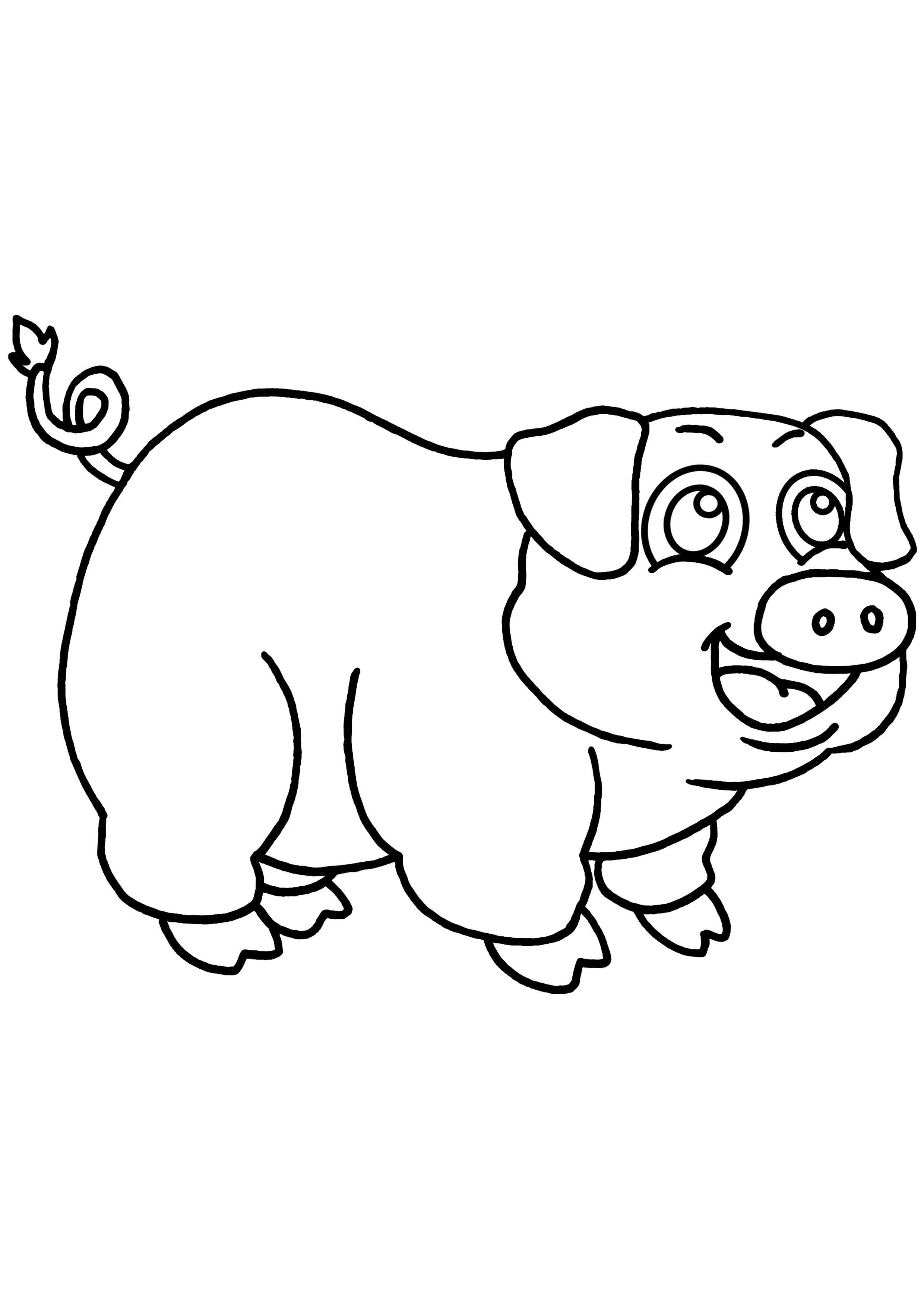Cerdo #2611
