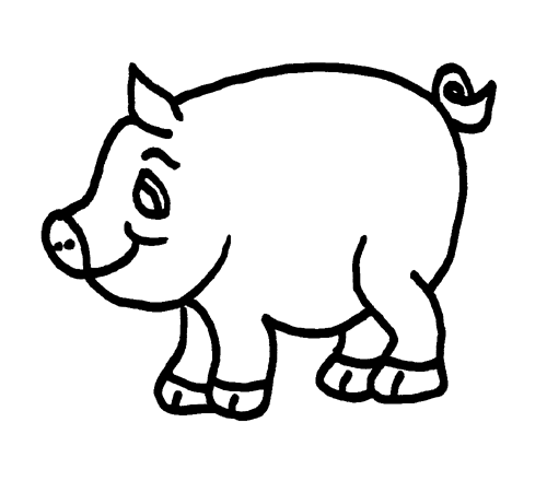 Cerdo #2618