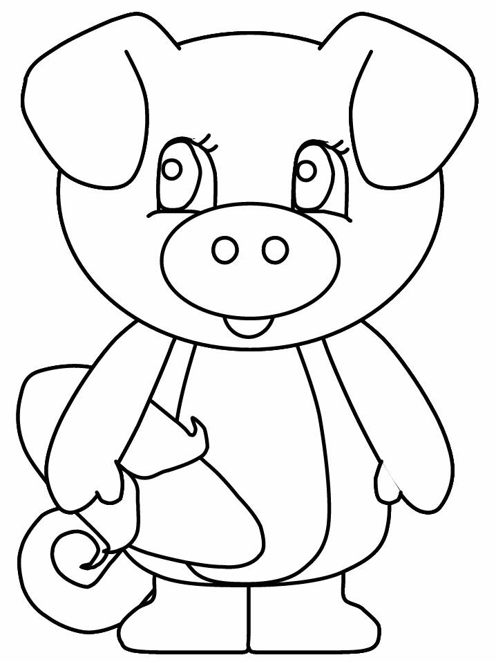 Cerdo #2629