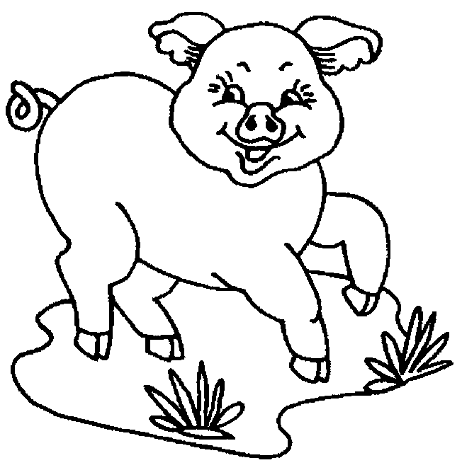 Cerdo #2630