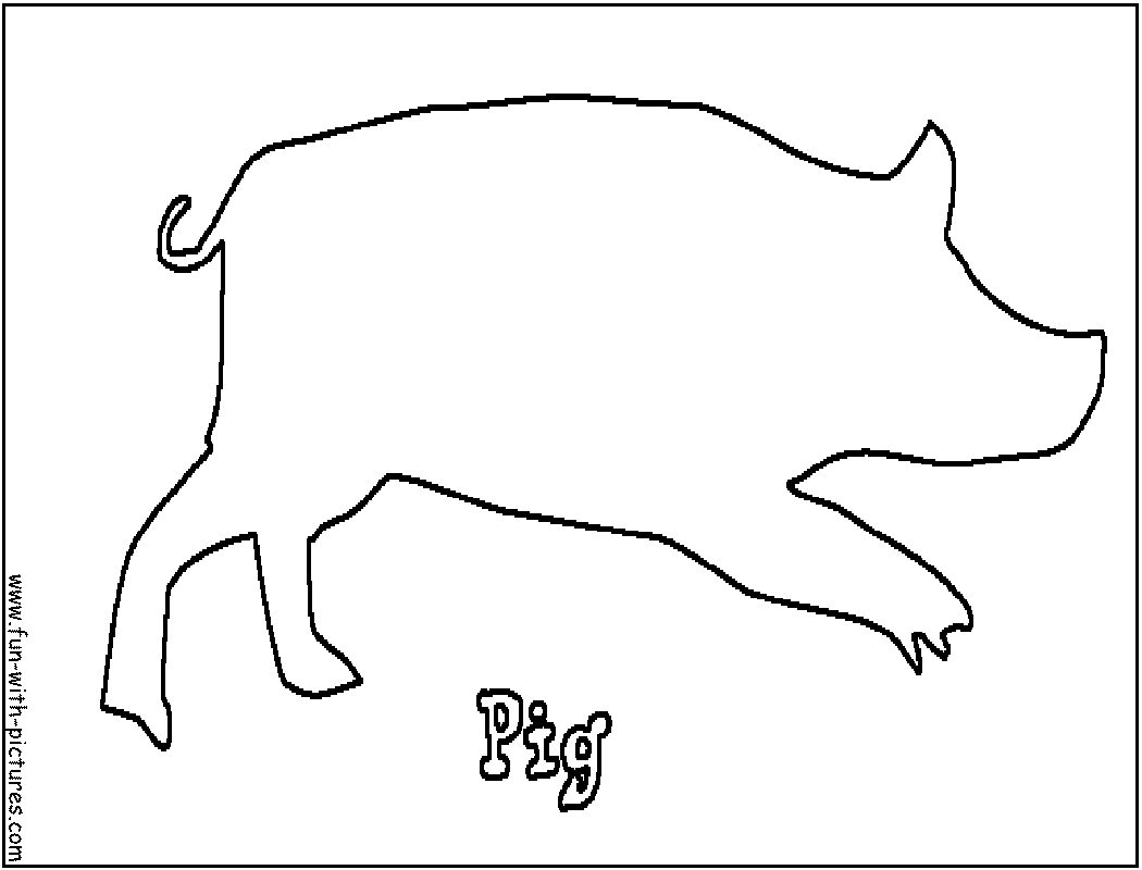 Cerdo #2638