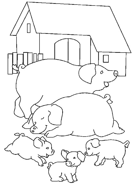 Cerdo #2639