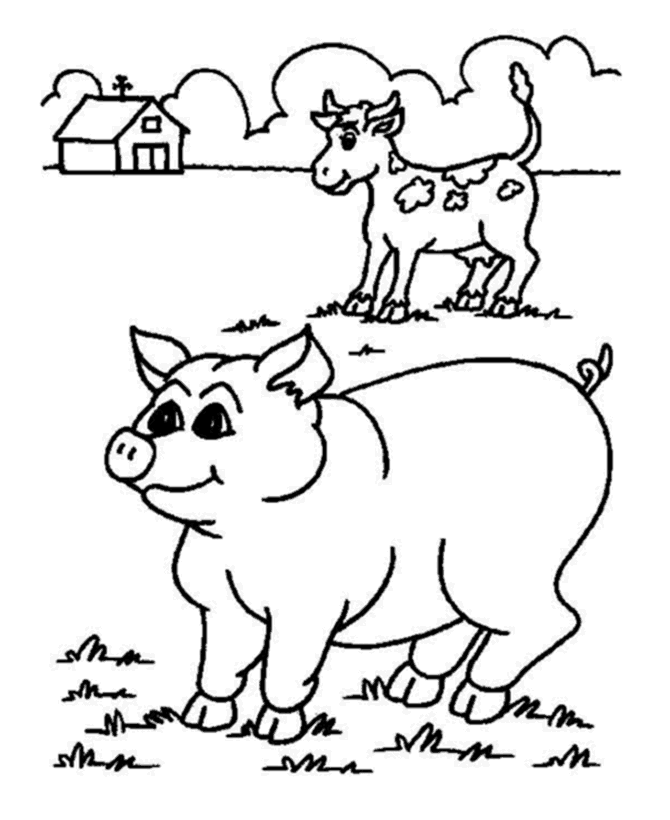 Cerdo #2645