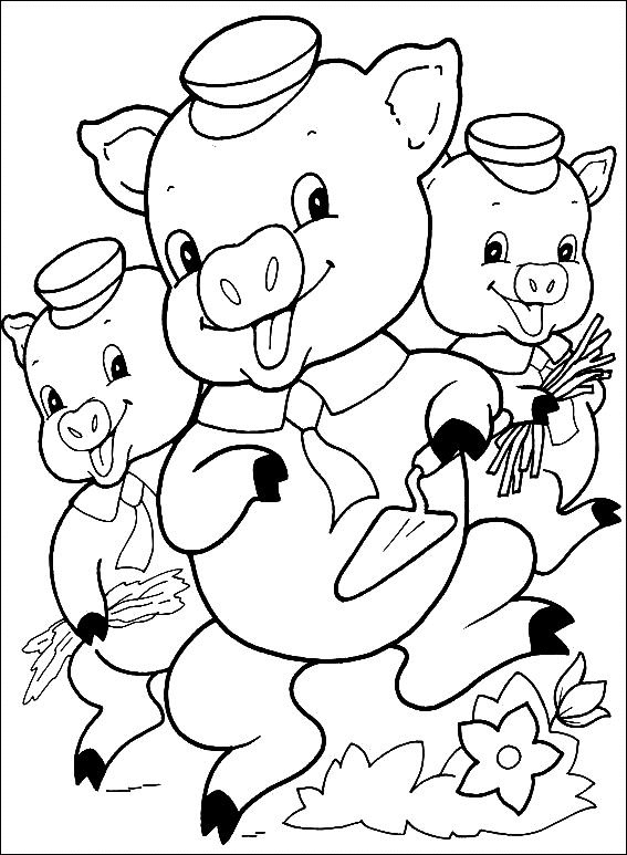 Cerdo #2646