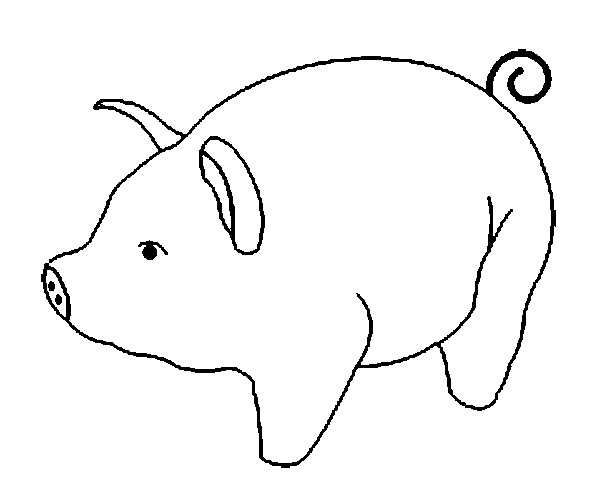 Cerdo #2648