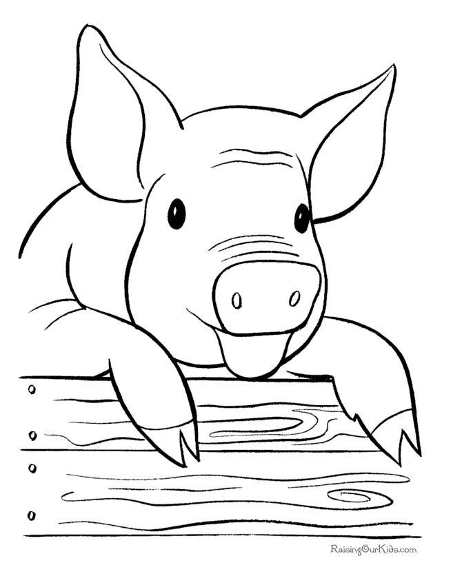 Cerdo #2650