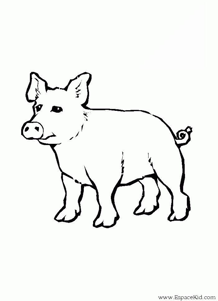 Cerdo #2661