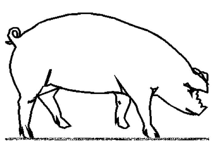 Cerdo #2693