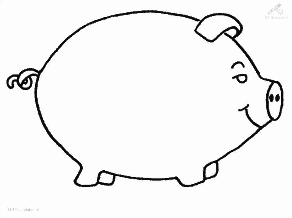 Cerdo #2700