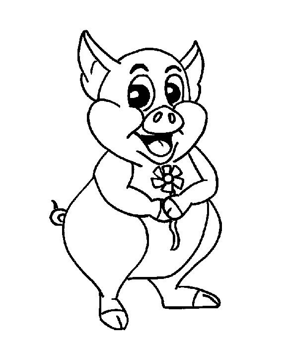 Cerdo #2705