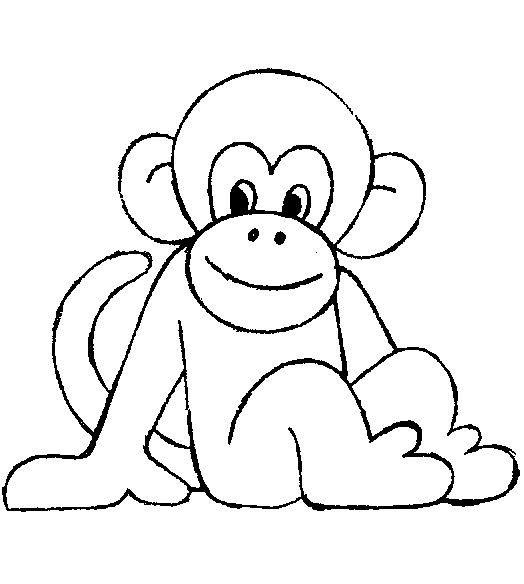Chimpancé #2711