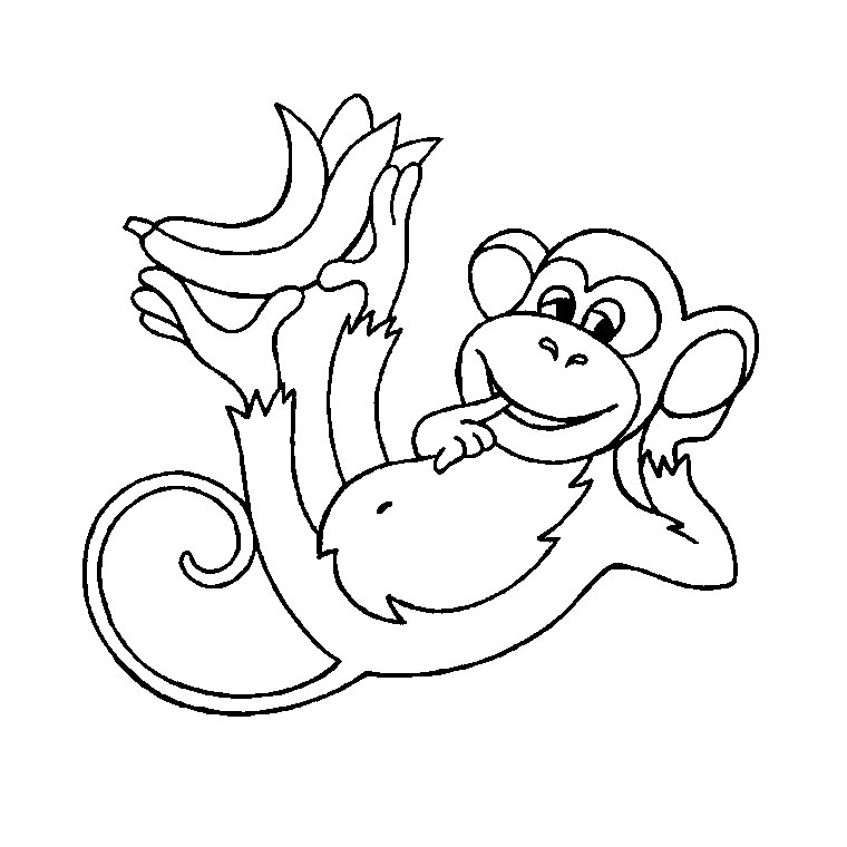 Chimpancé #2714