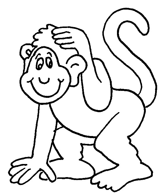 Chimpancé #2716