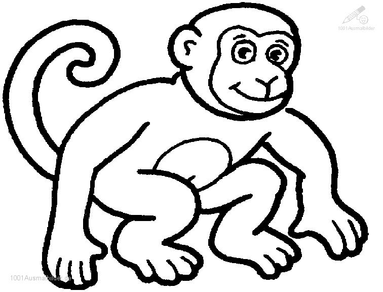 Chimpancé #2718