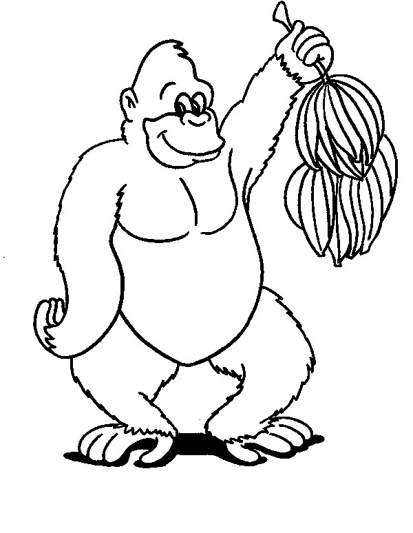 Chimpancé #2721