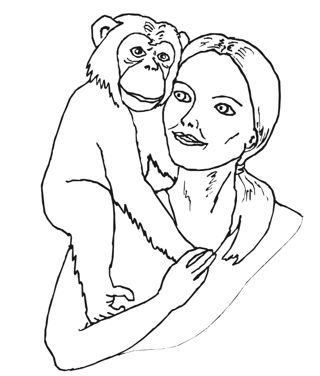 Chimpancé #2733