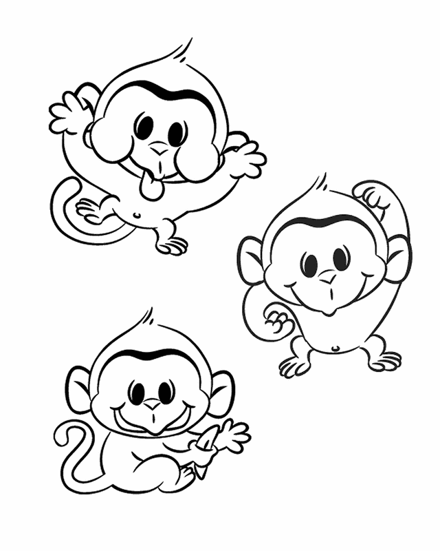 Chimpancé #2740