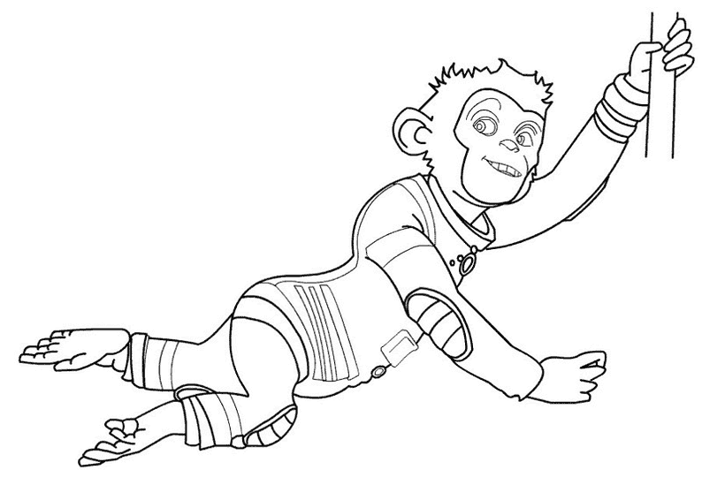 Chimpancé #2744