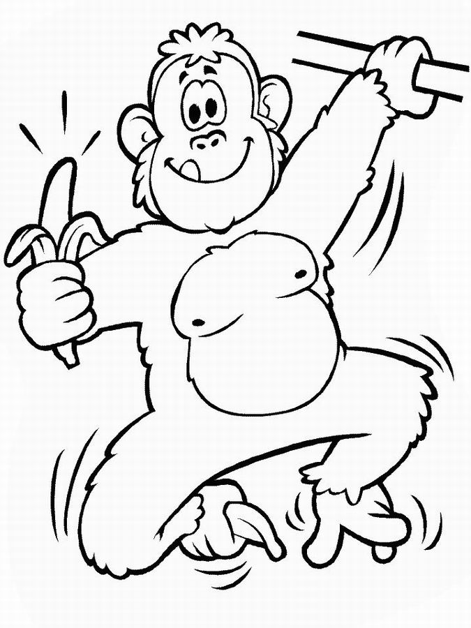 Chimpancé #2746