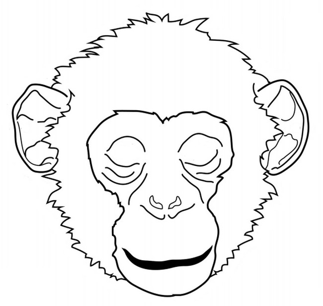 Chimpancé #2748