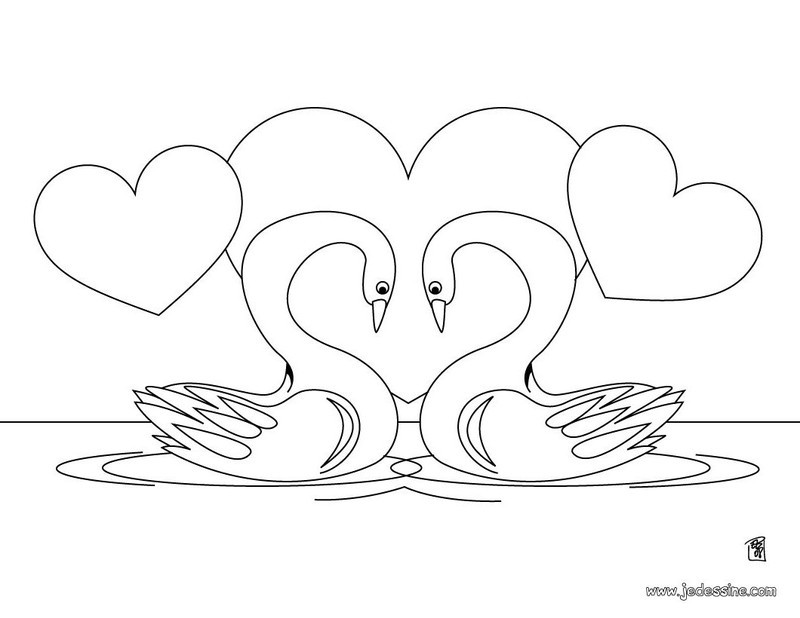 Cisne #2767