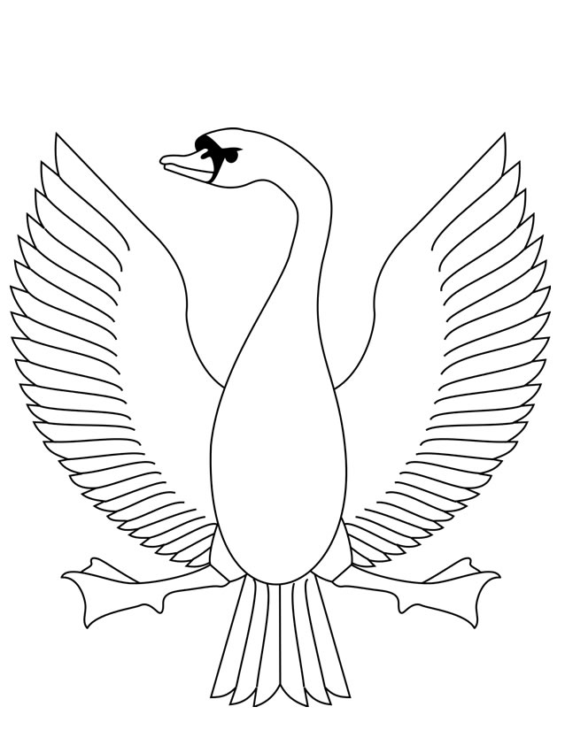 Cisne #2773