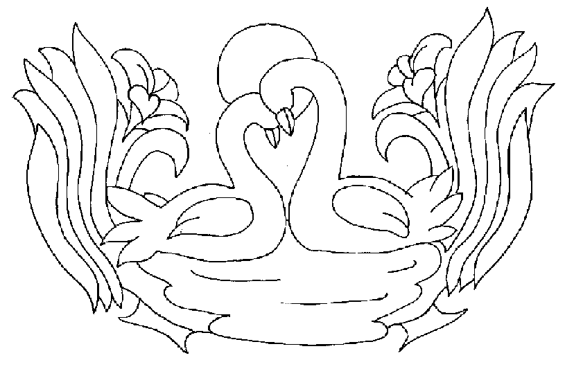Cisne #2780