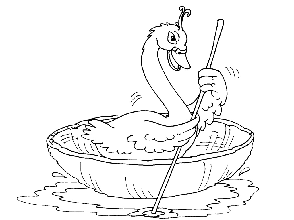 Cisne #2793