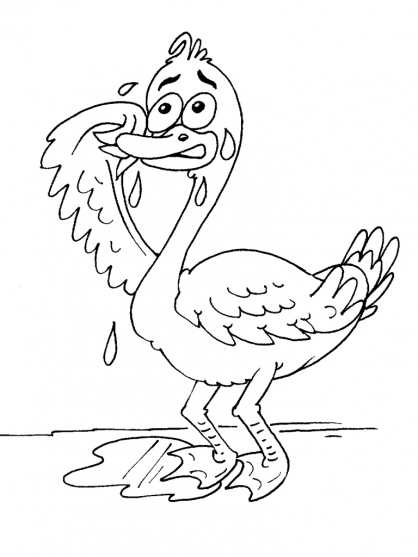 Cisne #2800