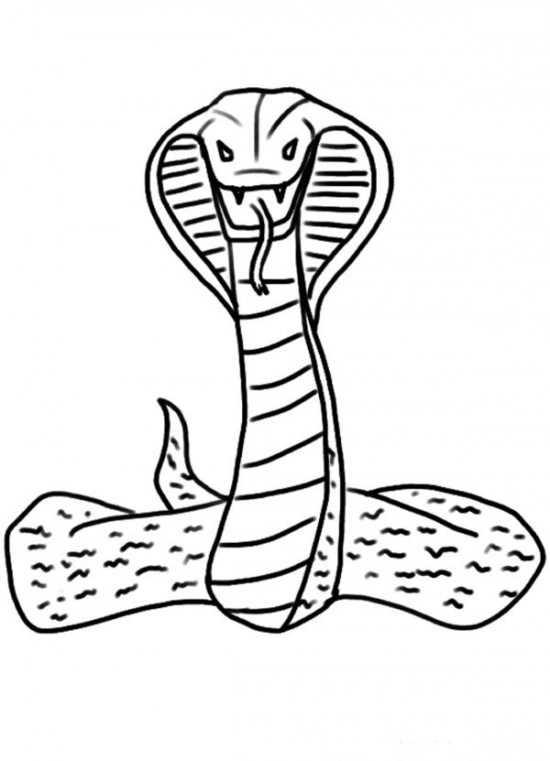 Cobra #2802