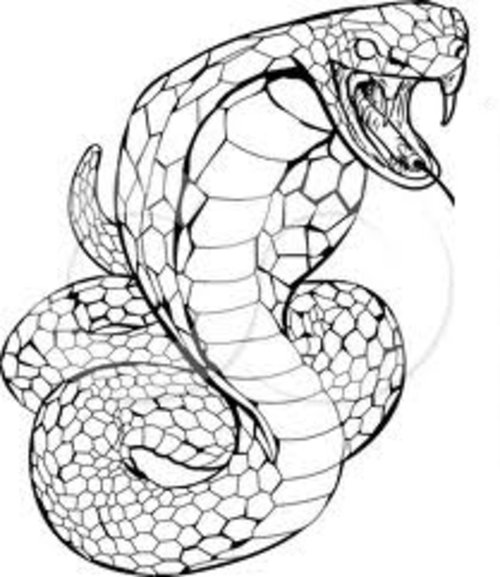 Cobra #2804