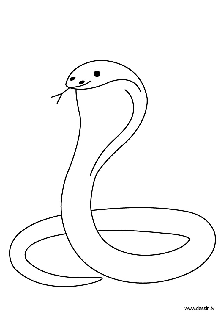Cobra #2806