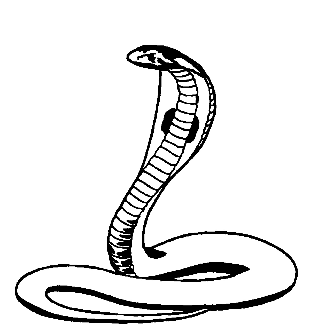 Cobra #2810
