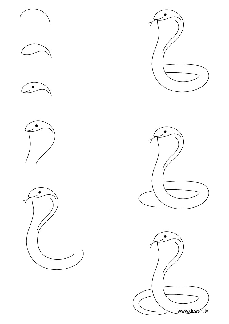 Cobra #2818