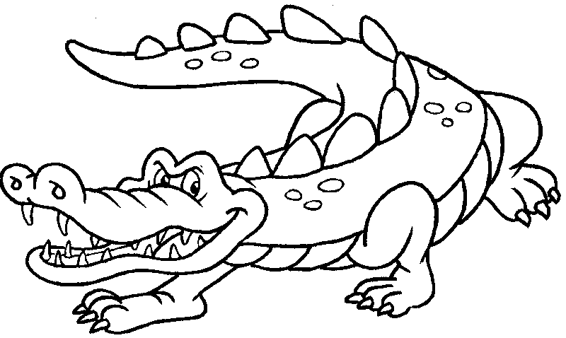 Cocodrilo #2833