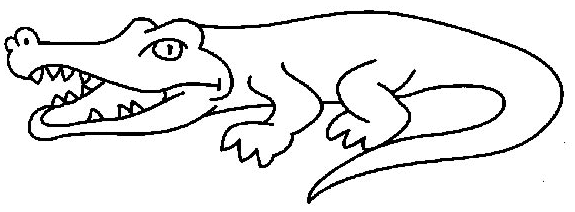 Cocodrilo #2842