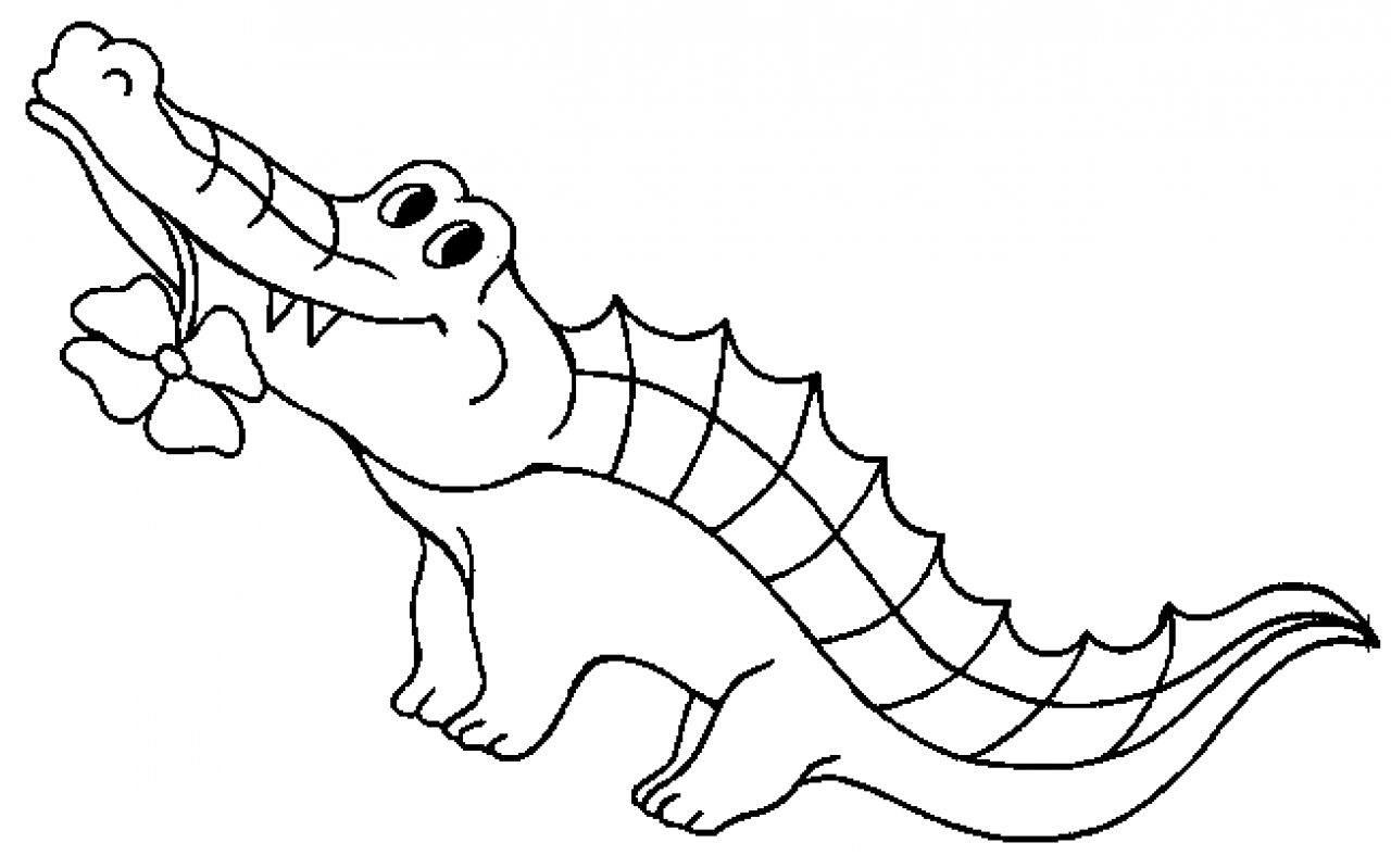 Cocodrilo #2846