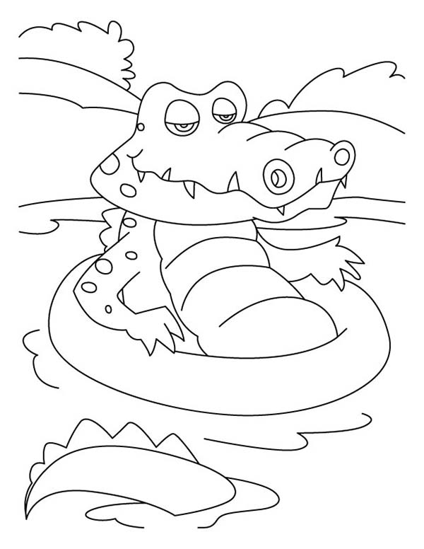Cocodrilo #2853