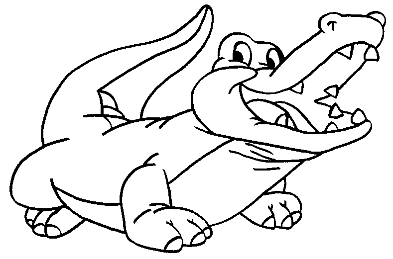 Cocodrilo #2854