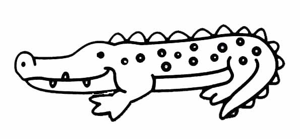 Cocodrilo #2886