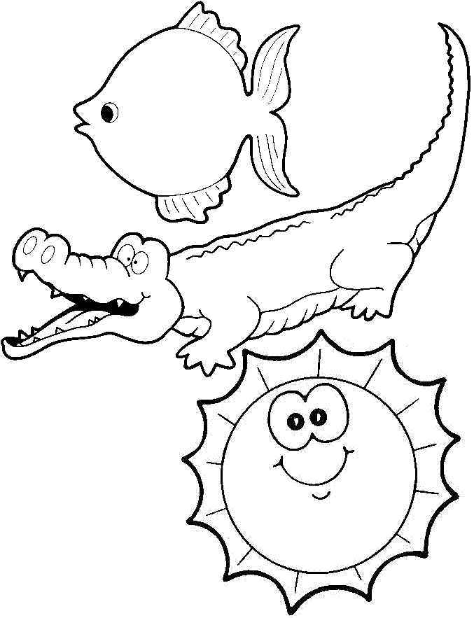 Cocodrilo #2902