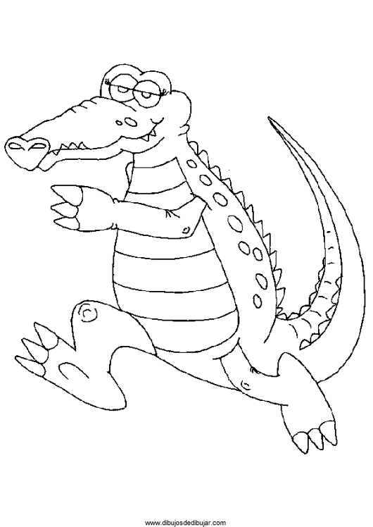Cocodrilo #2921