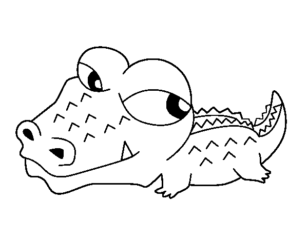 Cocodrilo #2927