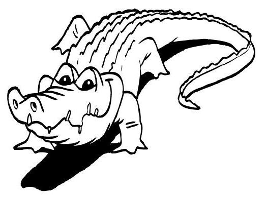 Cocodrilo #2934