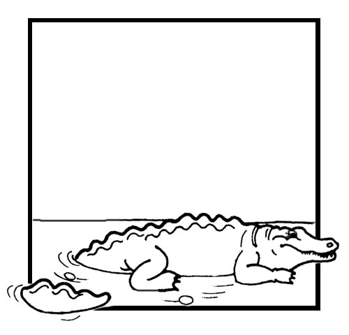 Cocodrilo #2935