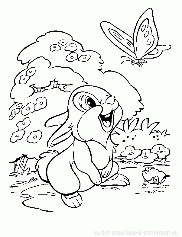 Conejo #3035