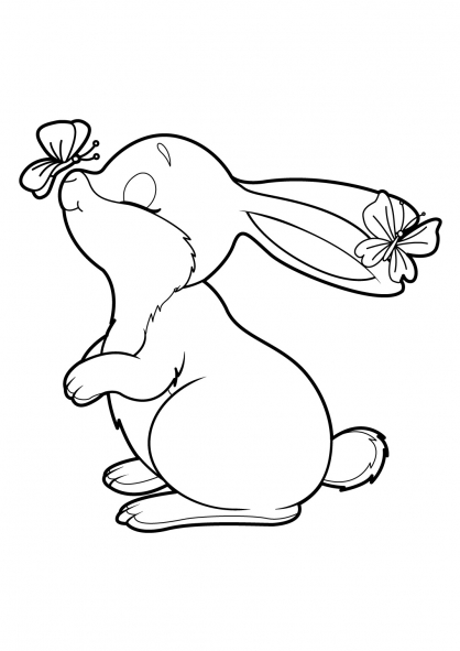 Conejo #3039